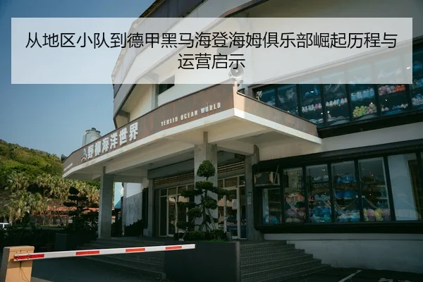 cong-di-qu-xiao-dui-dao-de-jia-hei-ma-hai-deng-hai-mu-ju-le-bu-jue-qi-li-cheng-yu-yun-ying-qi-shi-3-334.jpg